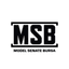MSB Logo